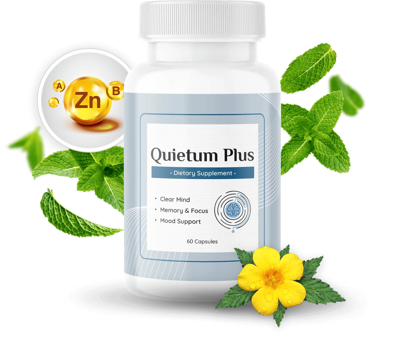 quietum plus buy now