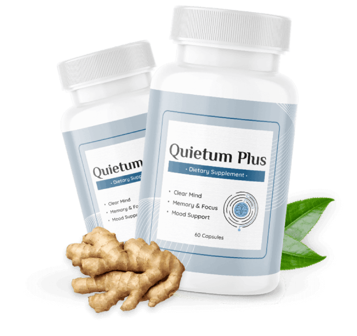 about Quietum Plus